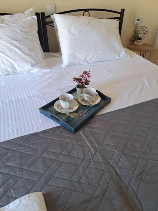 “hidden Treasure Corfu Centre” Apartament